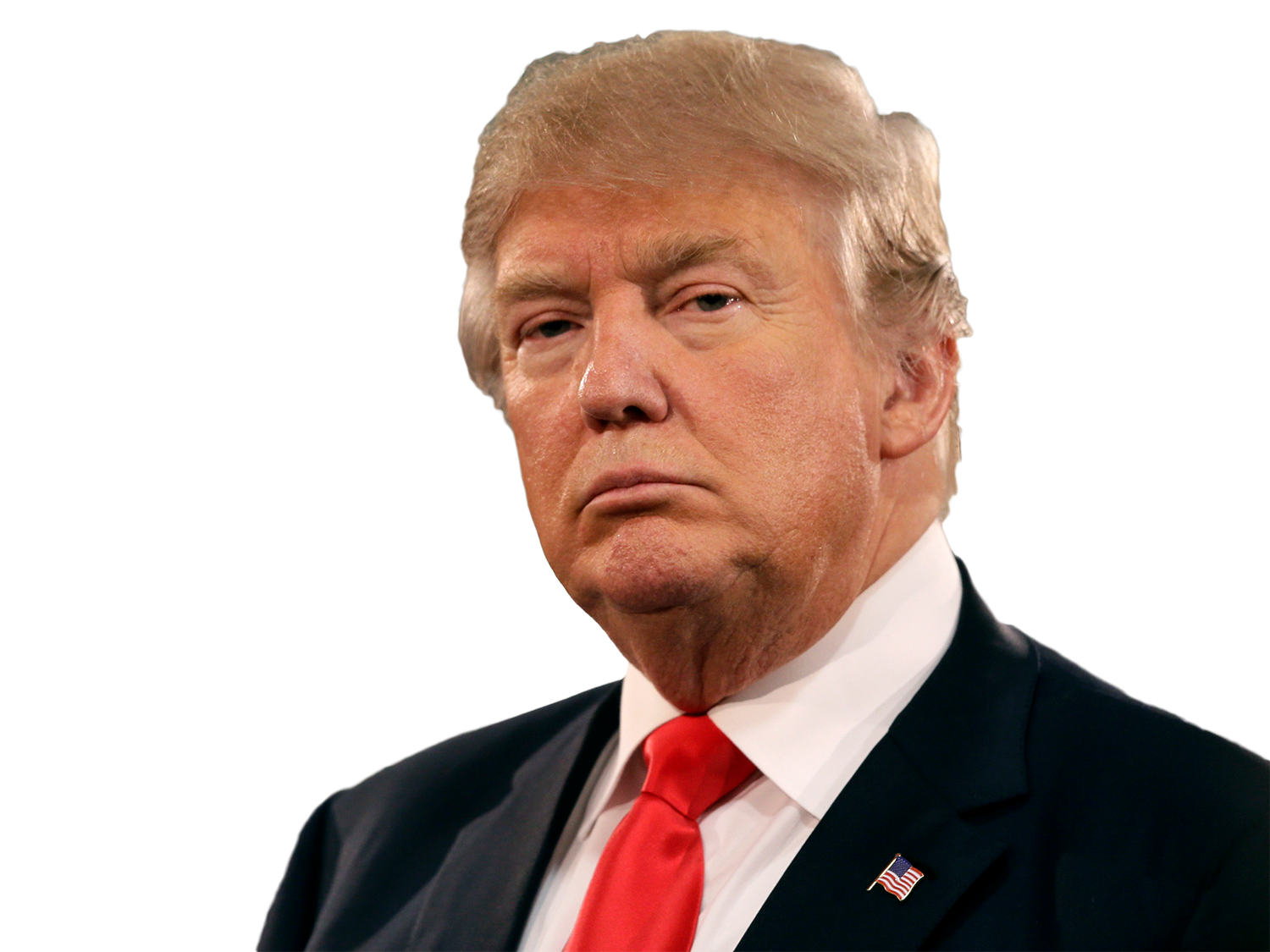 Donald Trump Blonde Hair PNG Images - wide 8