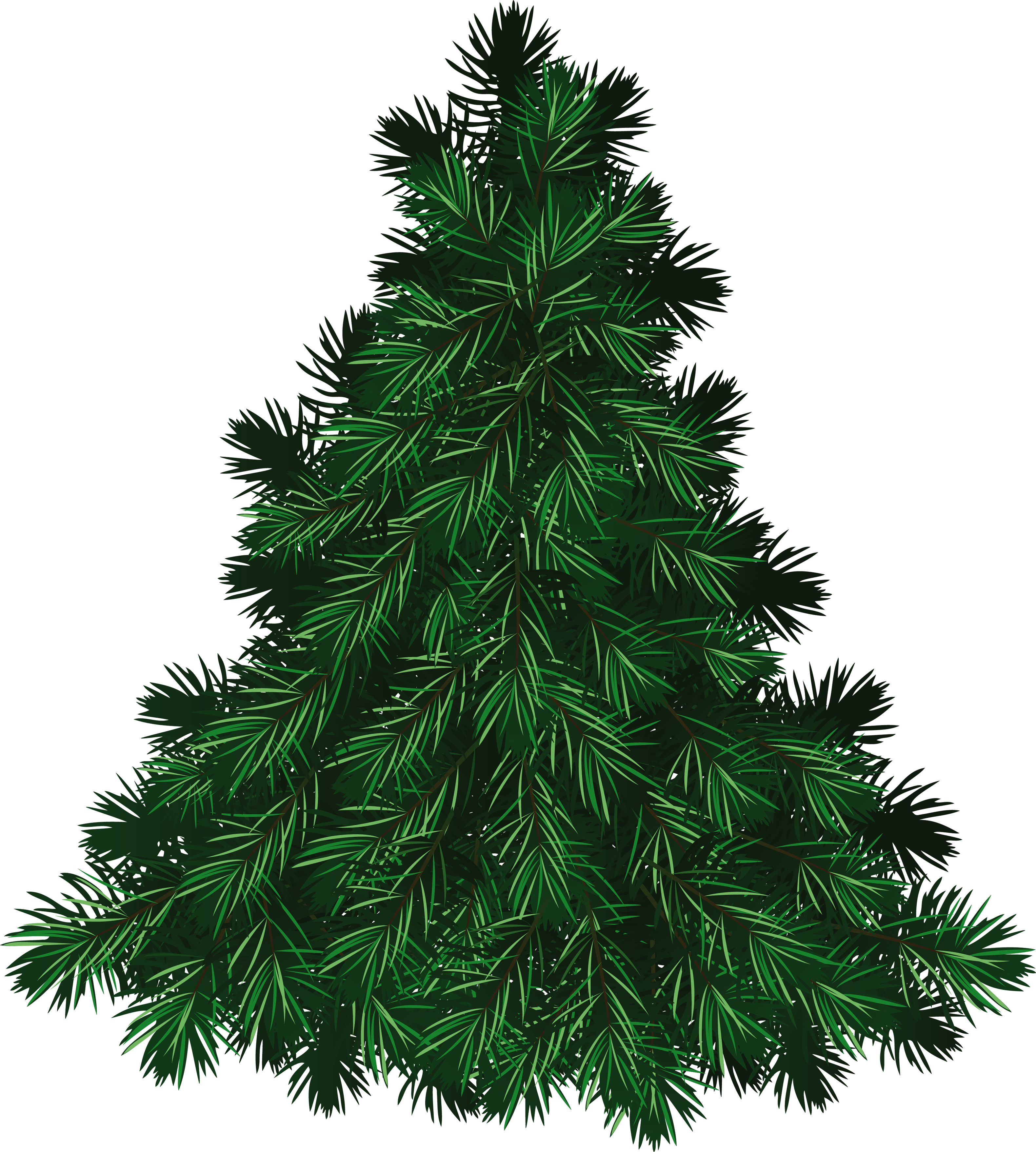 Fir Tree PNG Image - PurePNG | Free transparent CC0 PNG Image Library