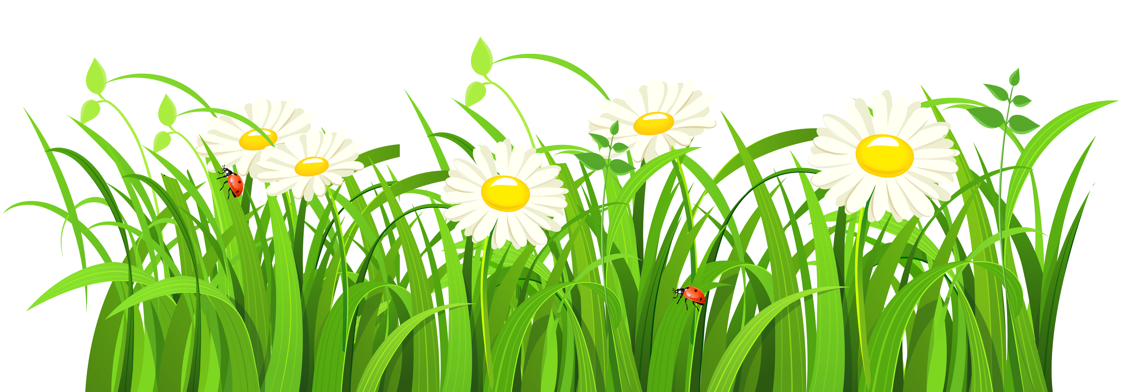 Grass Vector PNG Image - PurePNG | Free transparent CC0 ...