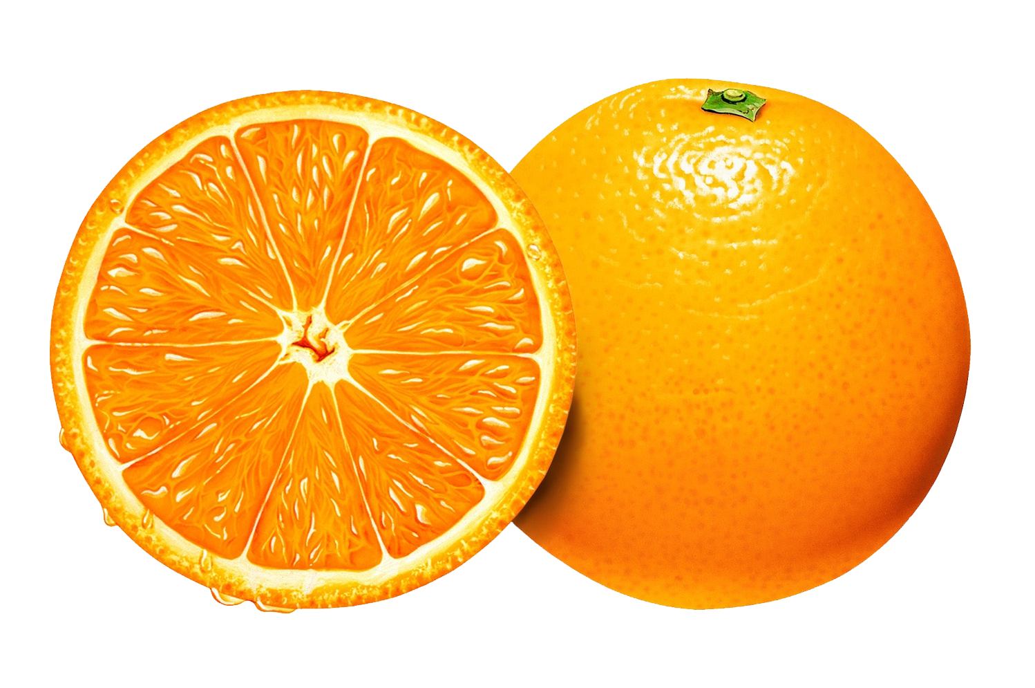 Desenho Laranja Png Imagens E Clip Art Laranja Png Images 55632 The Best Porn Website 7088