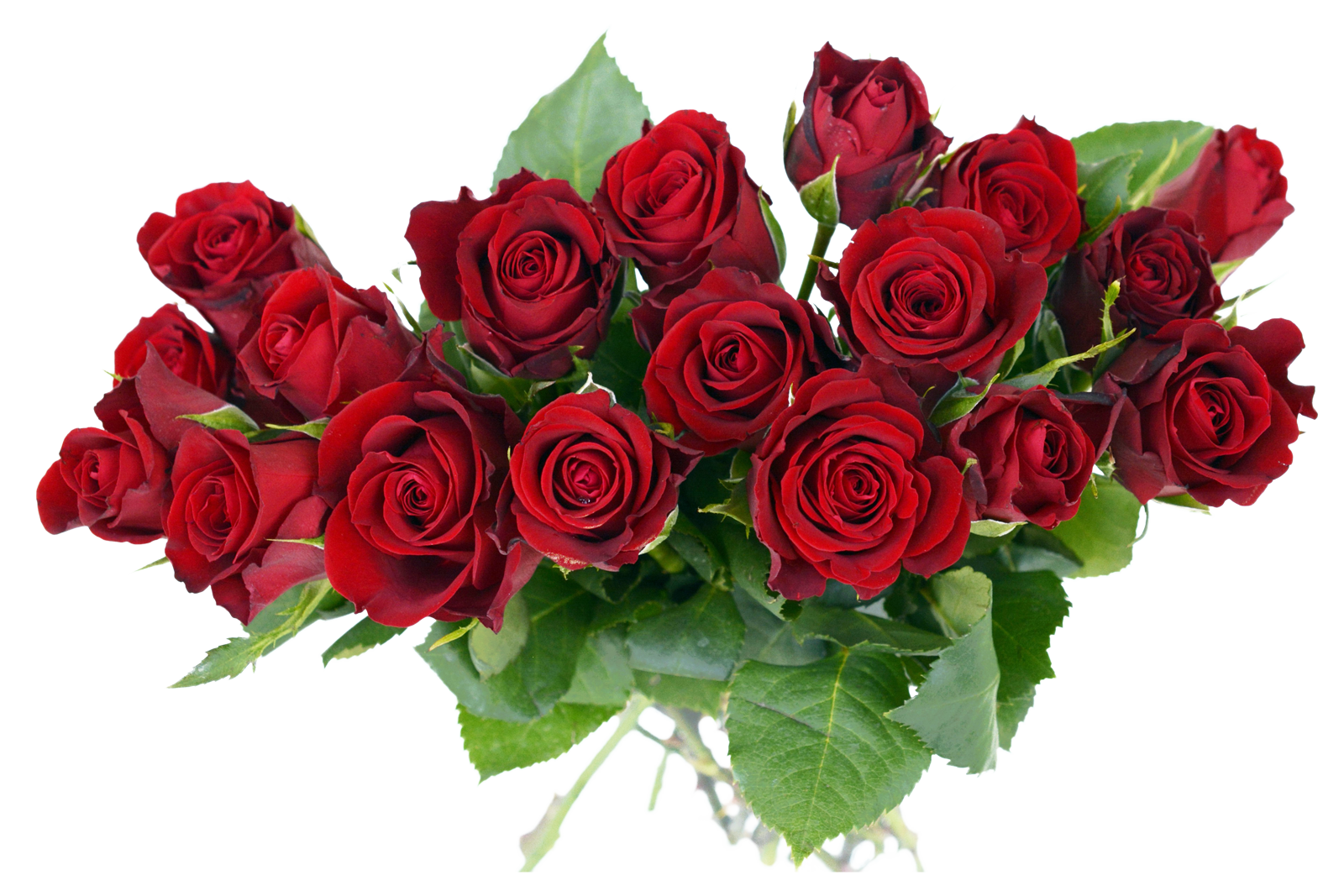 Rose Bouquet PNG Image - PurePNG | Free transparent CC0 ...