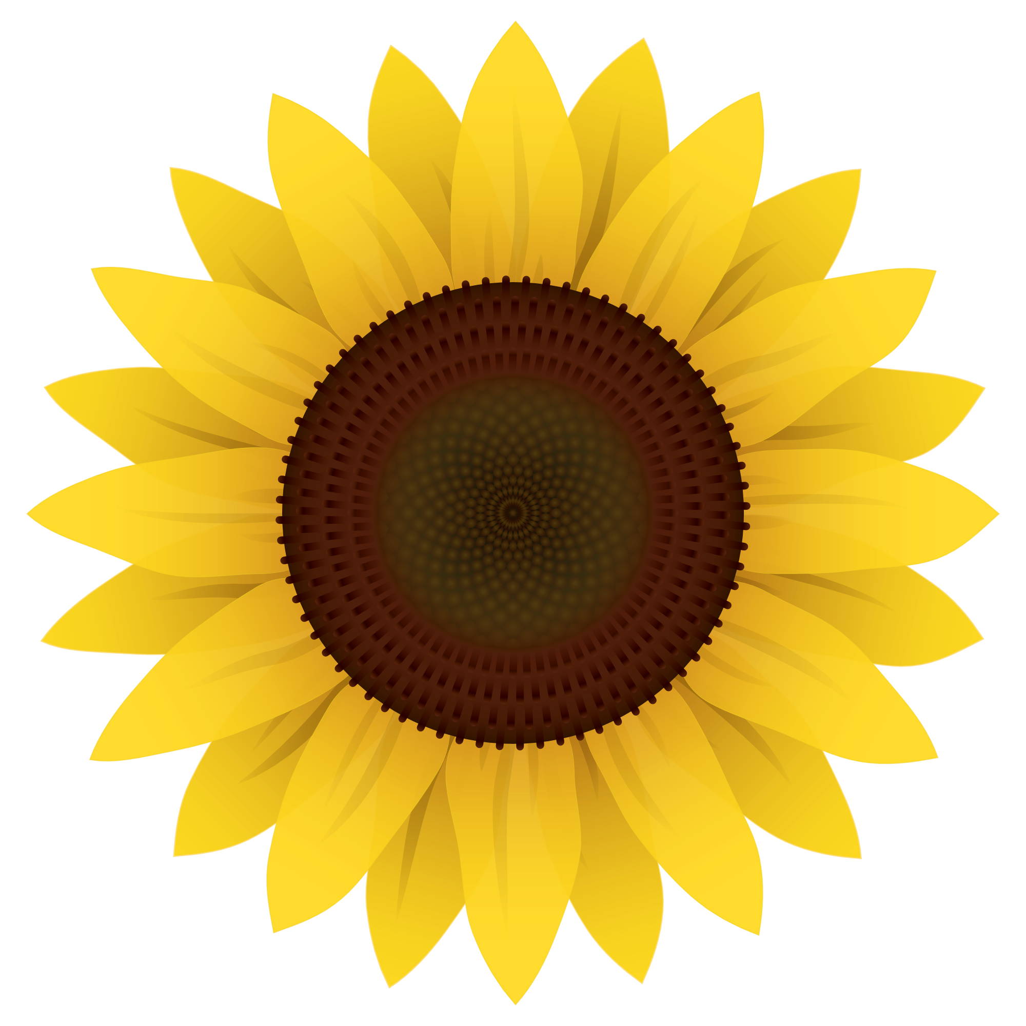 Sunflower Vector PNG Image - PurePNG | Free transparent ...