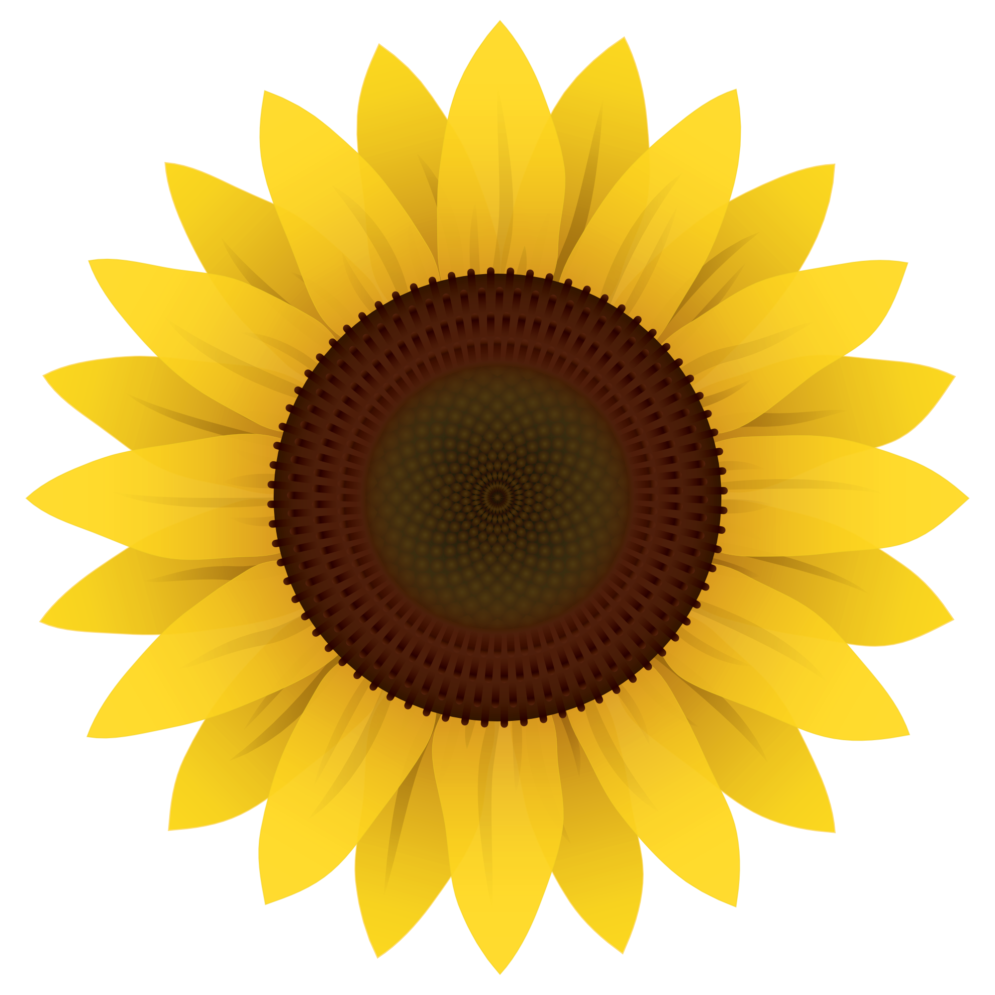 Download Sunflower Vector PNG Image - PurePNG | Free transparent ...