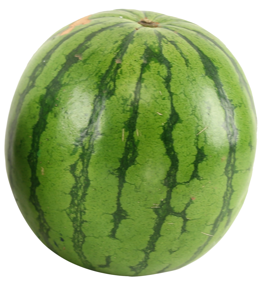 Other Words For Small Watermelon