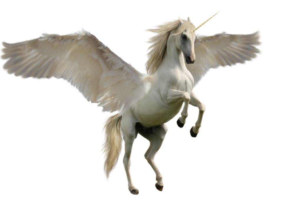 Unicorn PNG Image PurePNG Free Transparent CC0 PNG Image Library