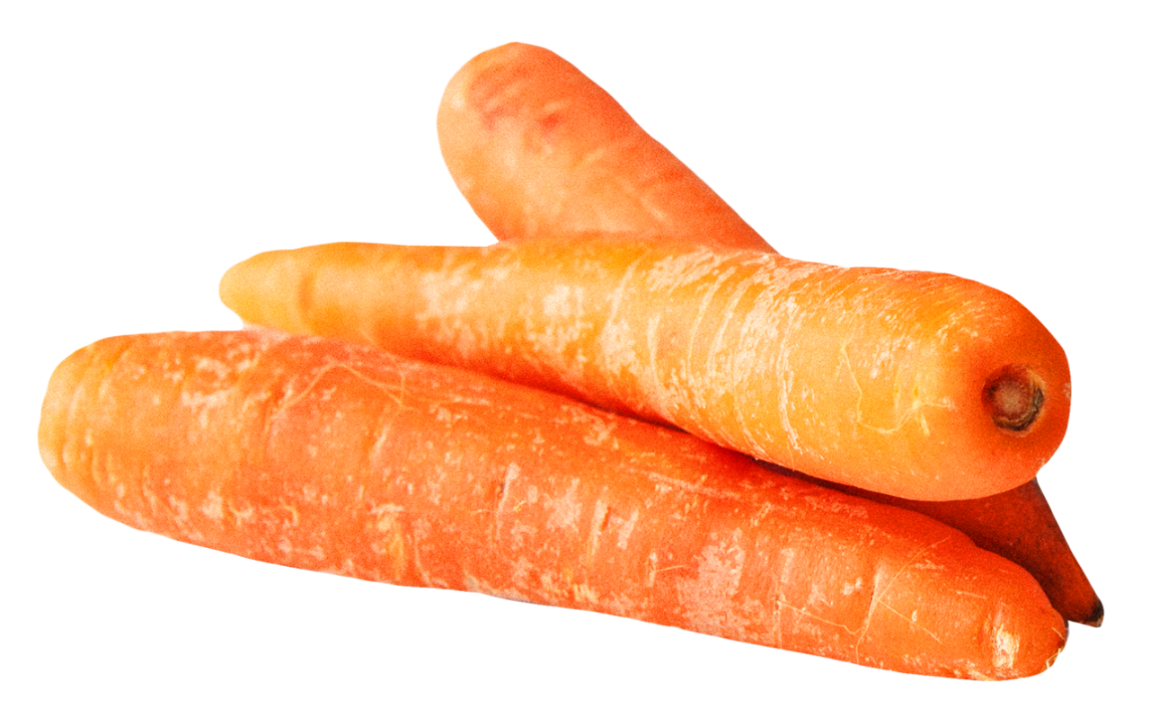 Carrot Png Image Purepng Free Transparent Cc Png Image Library