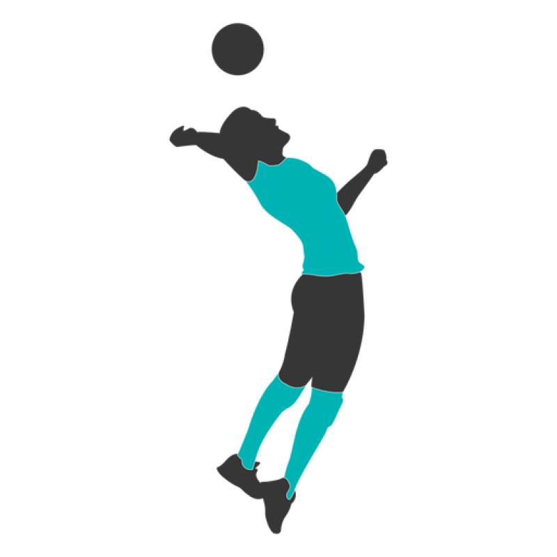 Volleyball Player Png Image Purepng Free Transparent Cc Png Image