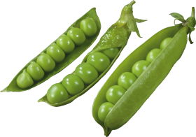 Green Peas Pnghunter