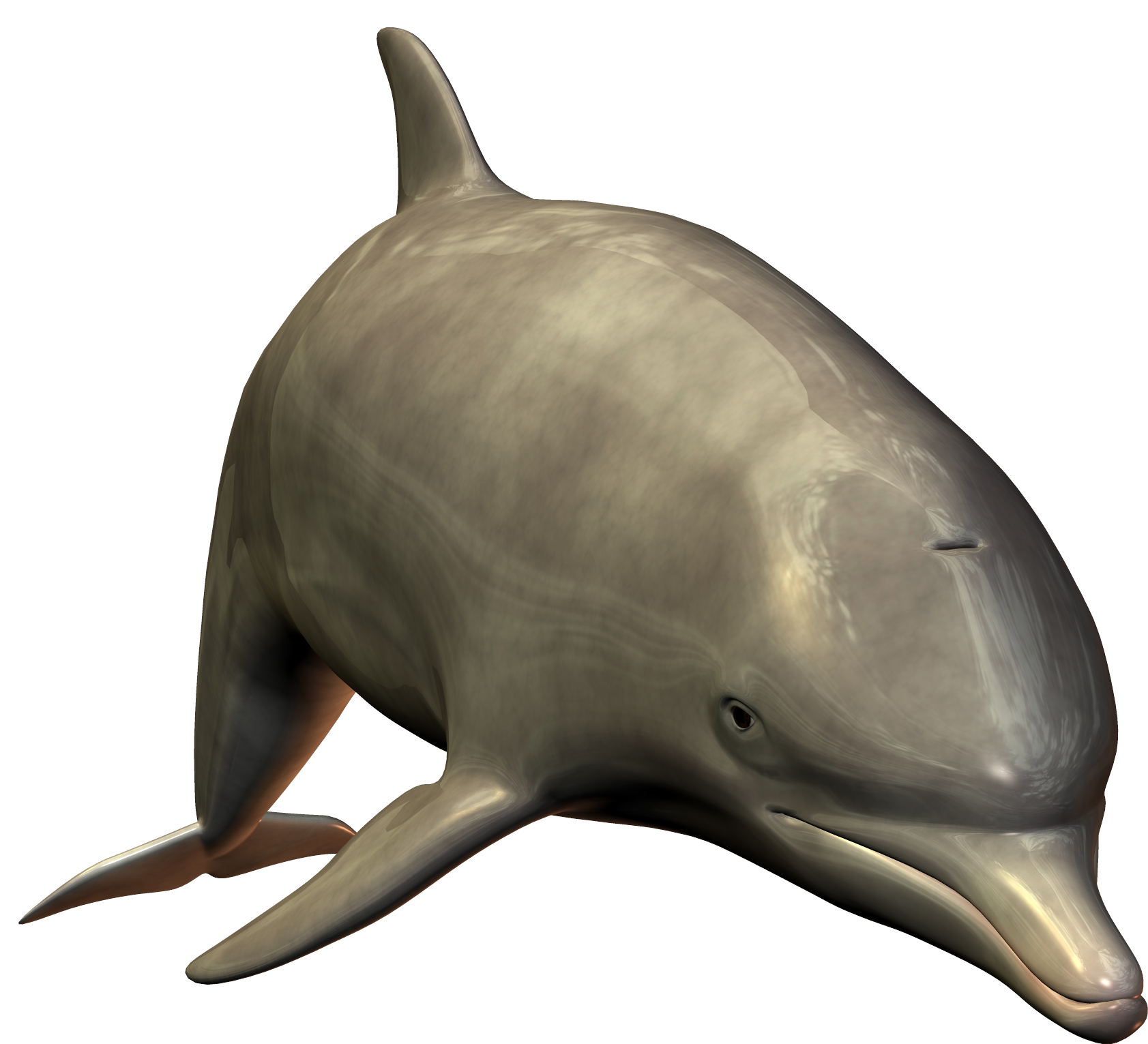 Cute swimming Dolphin PNG Image