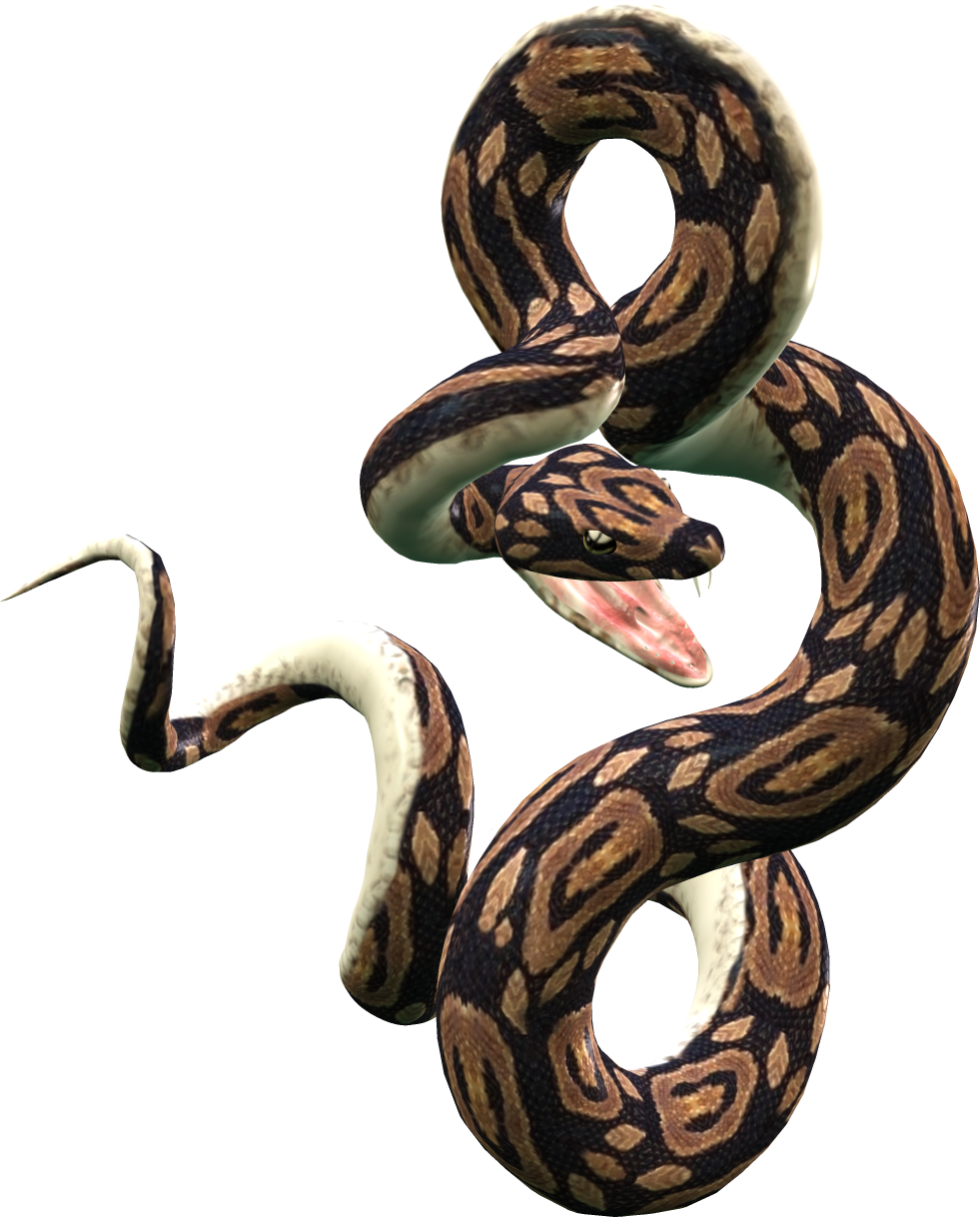 Dangerous Snake PNG Image