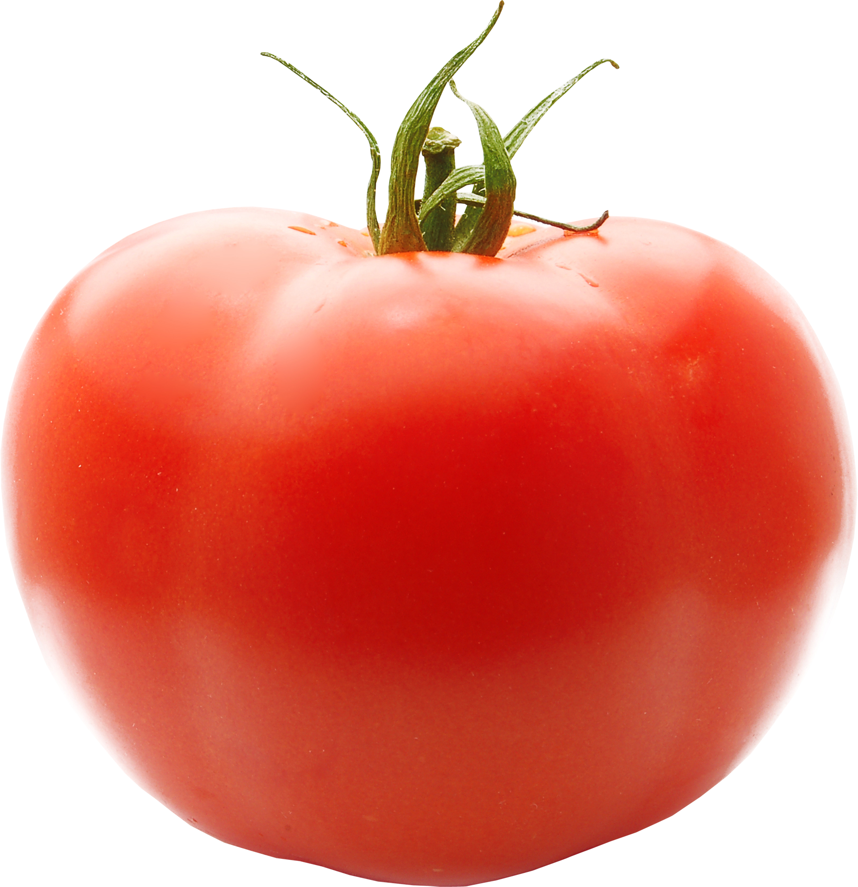tomato PNG Image