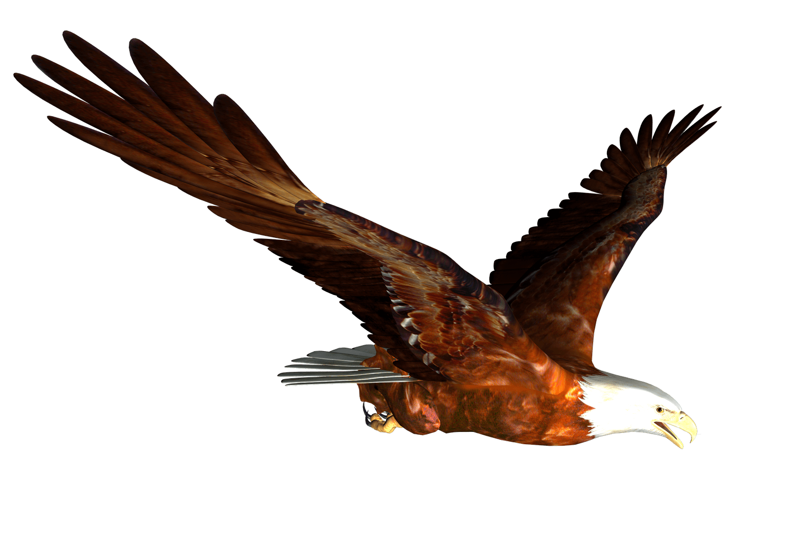 animated Bald eagle Flying PNG Image