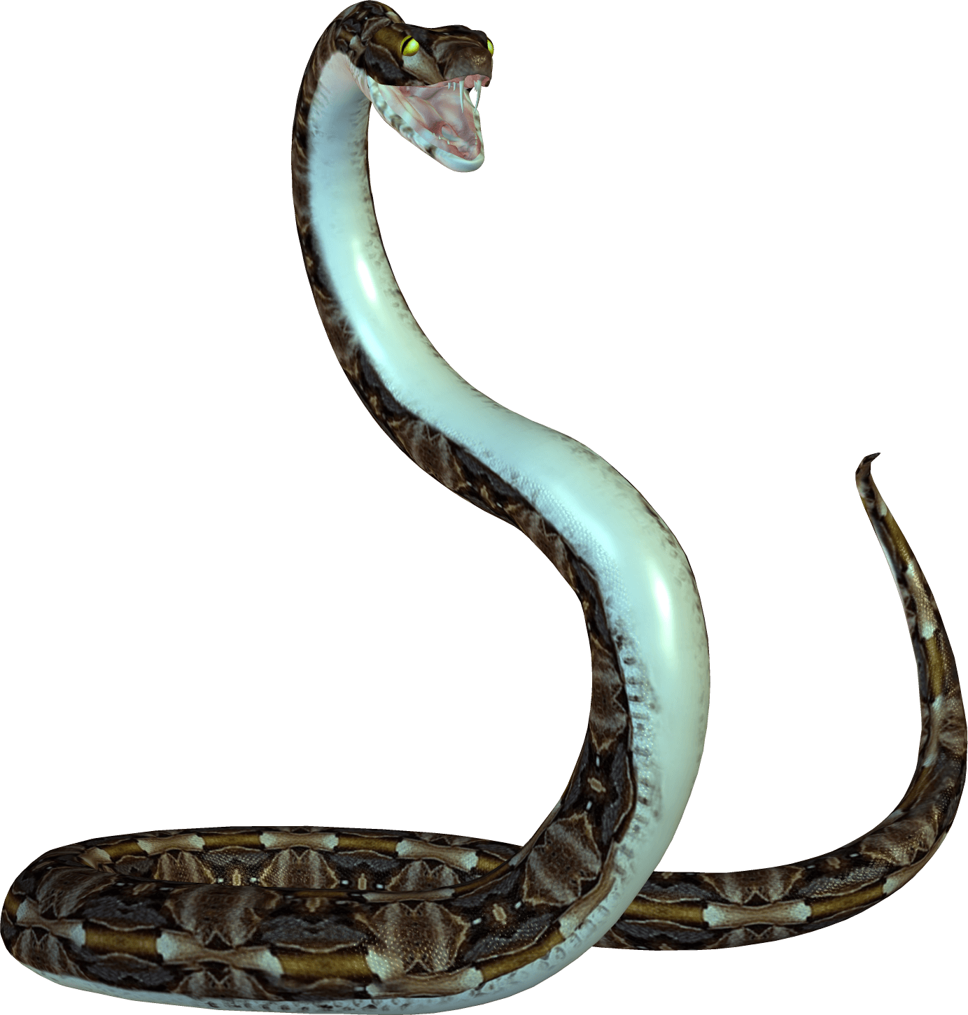 Download Animated Snake PNG Image for Free