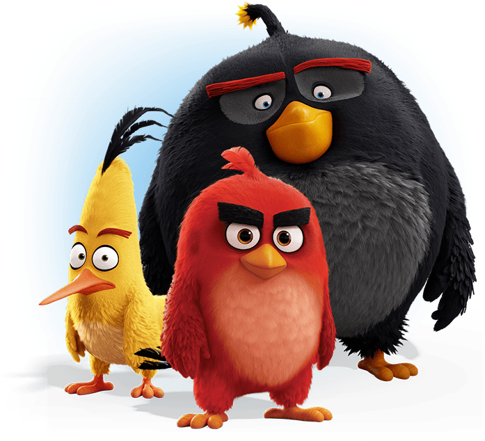 Angry Birds Game PNG Image