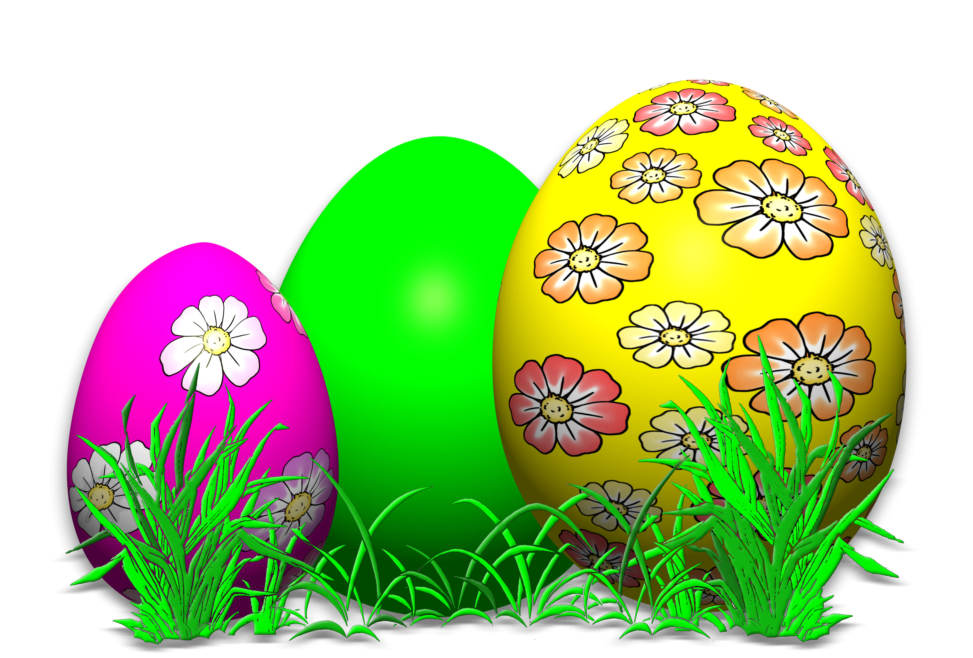 Art on Eggs PNG Image