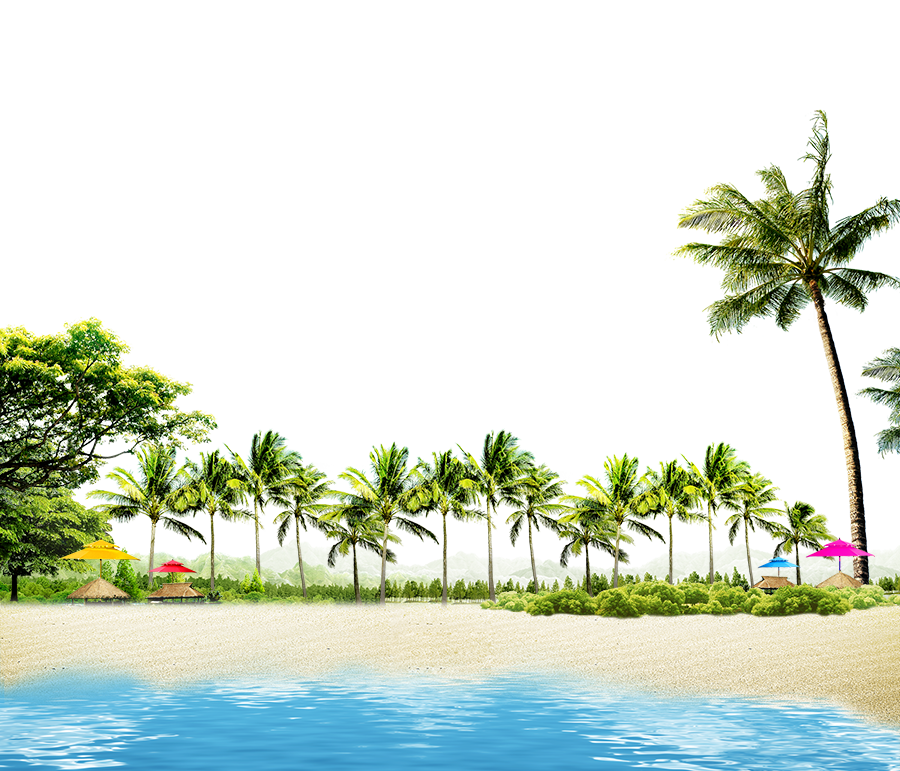 Beach with Coconut Palms and Summer Huts PNG Image