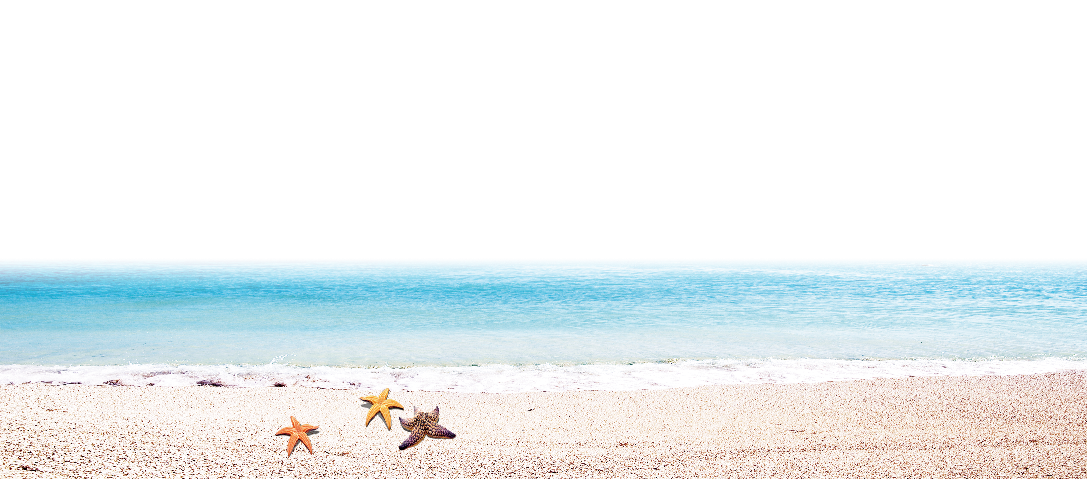 Beach with Star Fish PNG Image