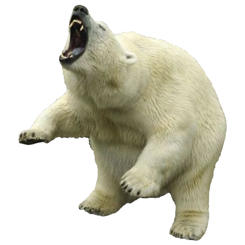 Bear PNG Image
