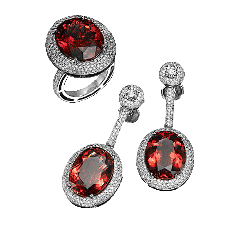 Beautiful Earrings and Ring PNG Image