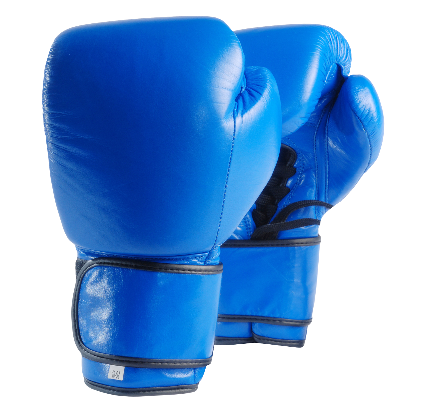 Blue Boxing Gloves PNG Image