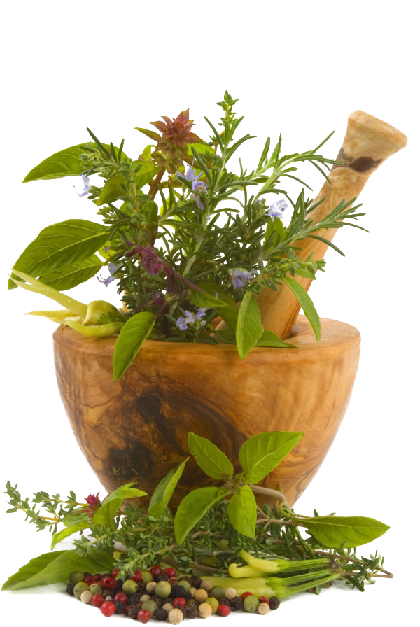 Chinese Herbs PNG Image