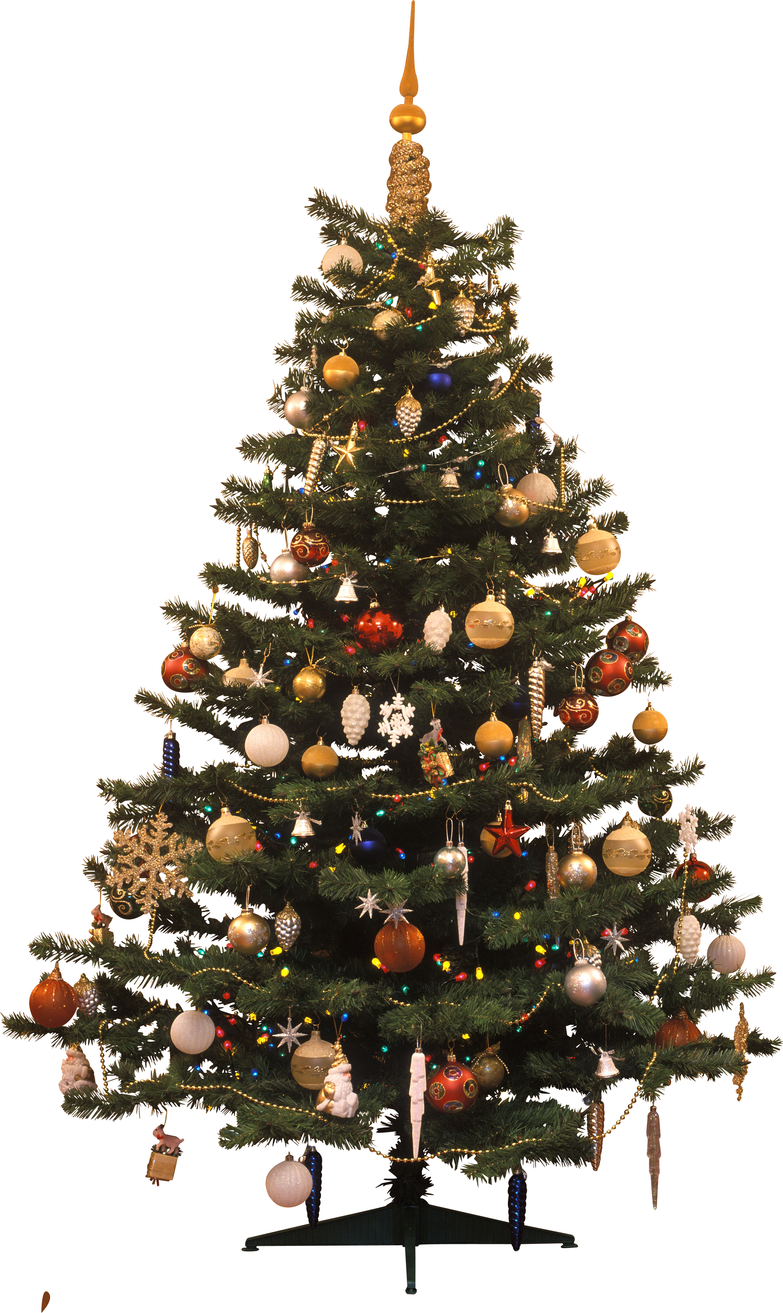 Christmas Tree Traditional  PNG Image
