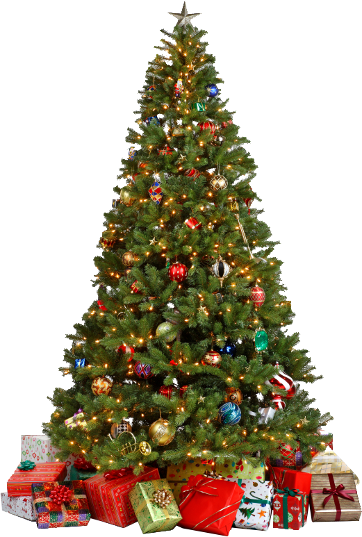 Traditional Christmas Tree with Gifts PNG Image