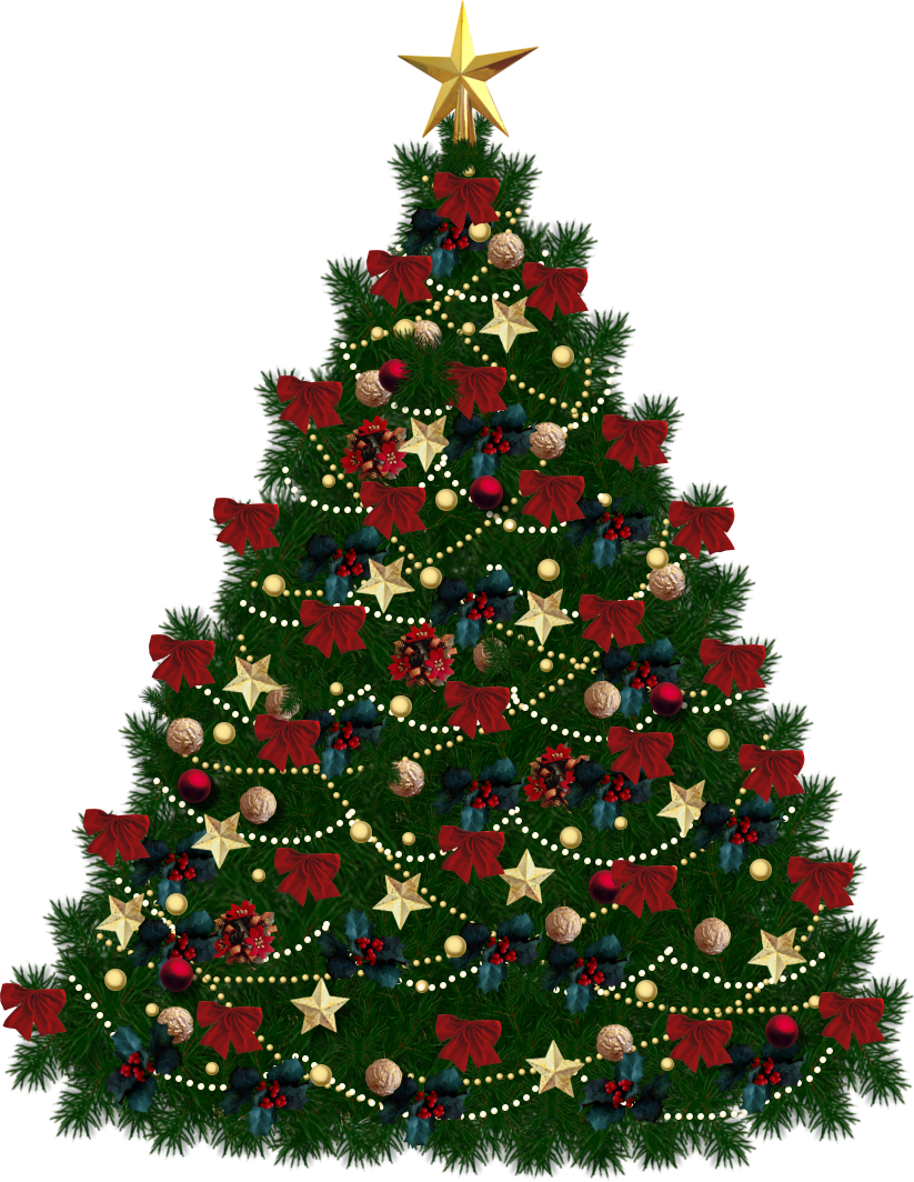 Christmas Tree Festive PNG Image
