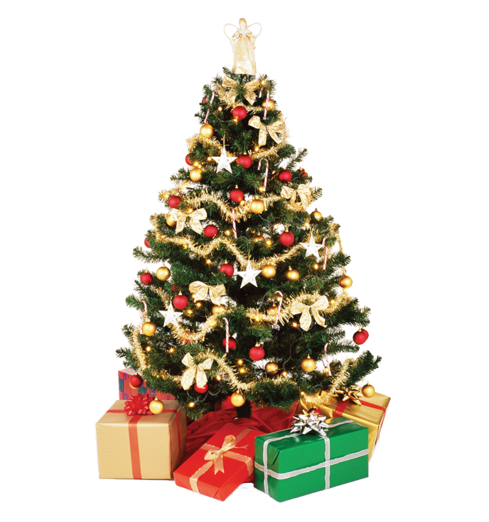 Chismas Tree Png Christmas Tree PNG All Images And Logos Are 
