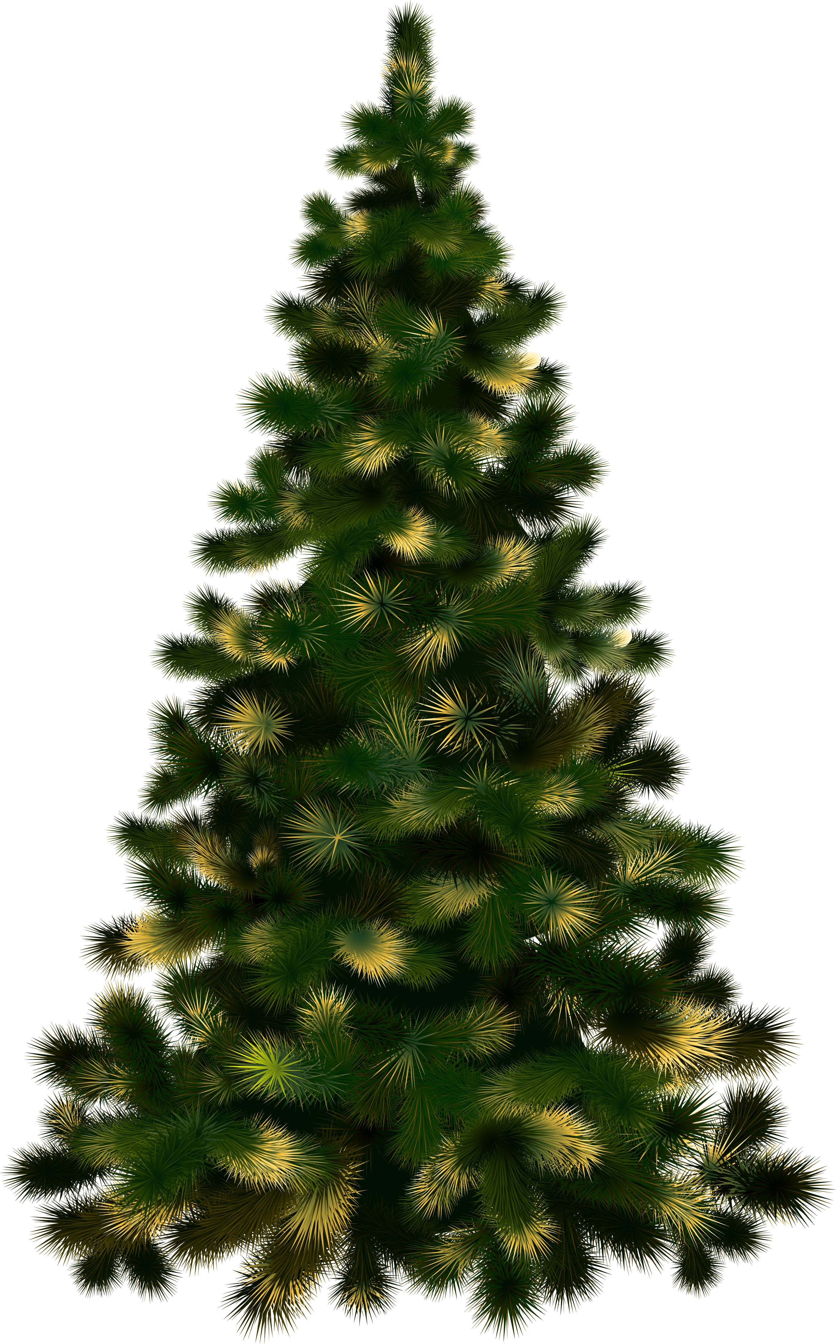 Christmas Tree without Lights PNG Image