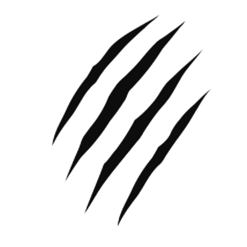 Claw Scratch PNG Image