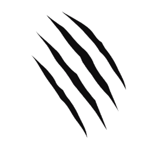 Claw Scratch PNG Image
