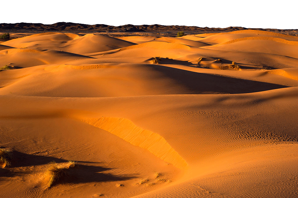 Desert PNG Image