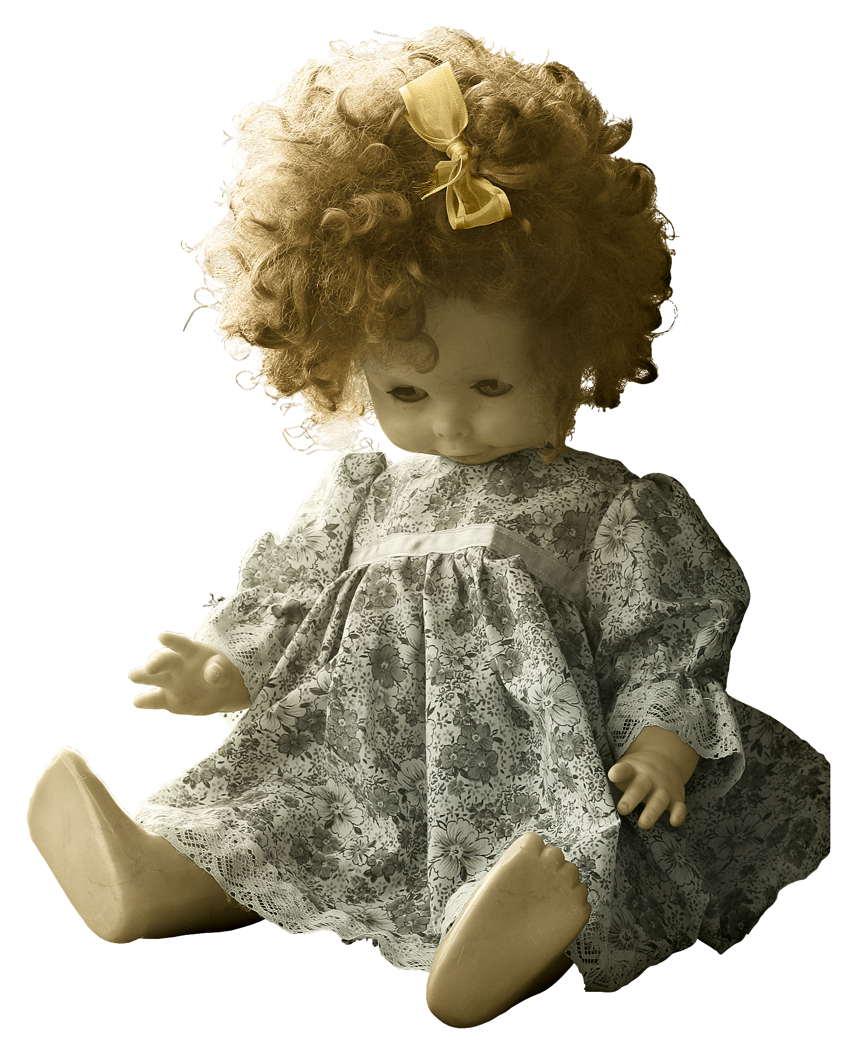 Doll Toy PNG Image