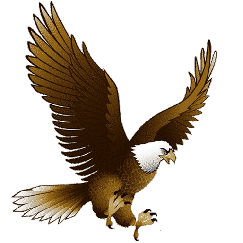 Eagle PNG Image