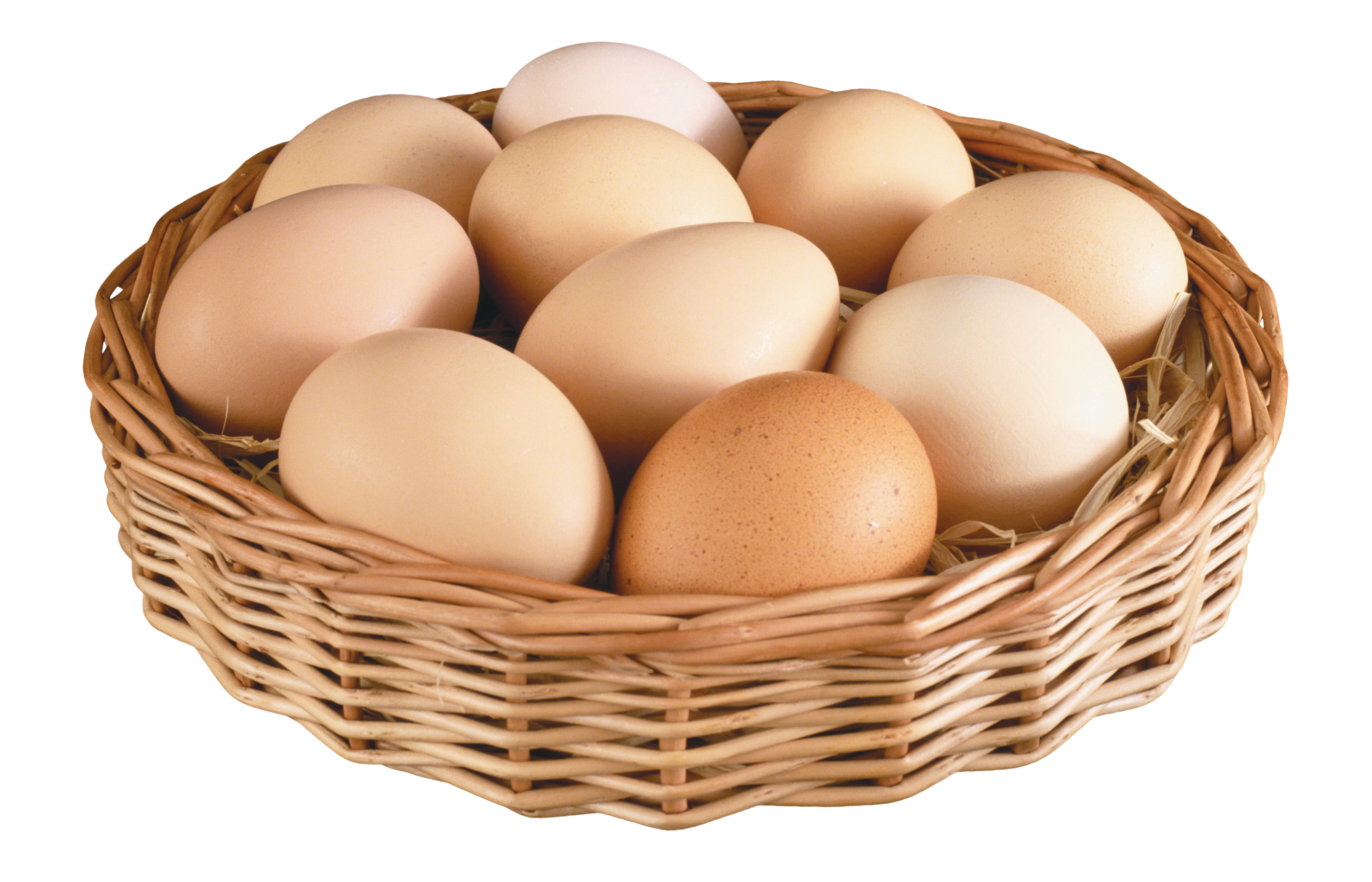 eggs in basket