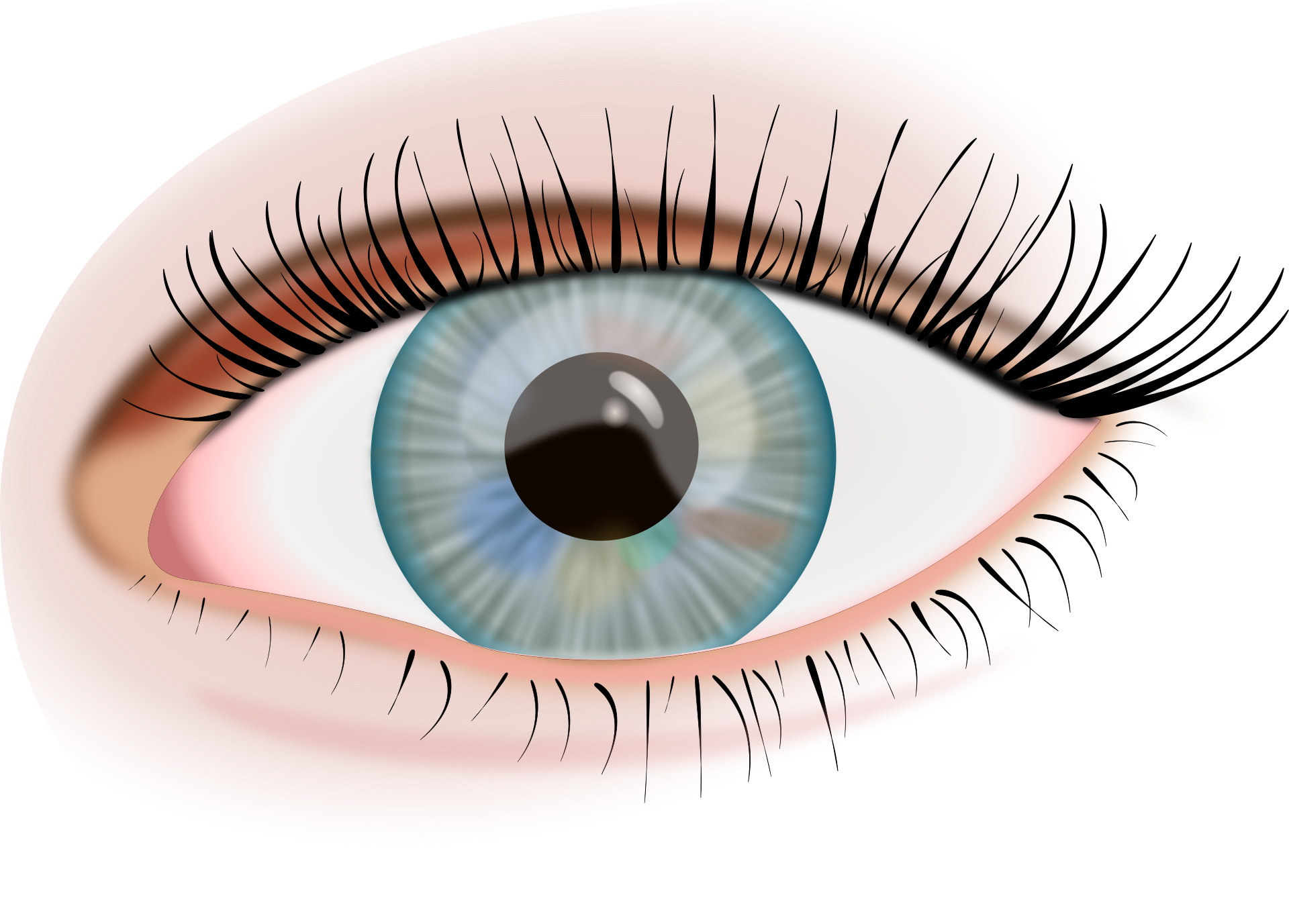 eyes png transparent