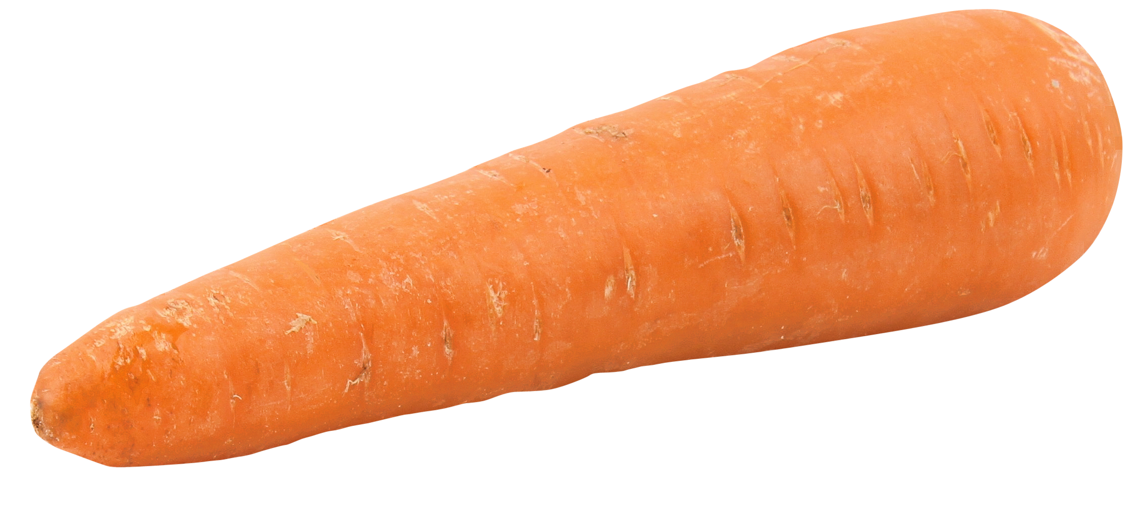 Fat Orange Carrot
