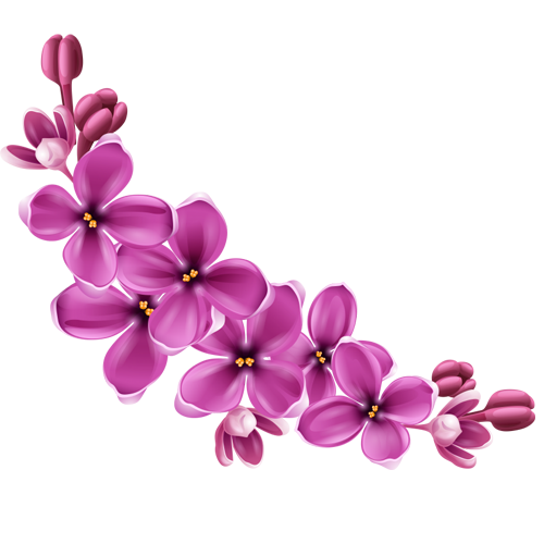 Flowers PNG Image
