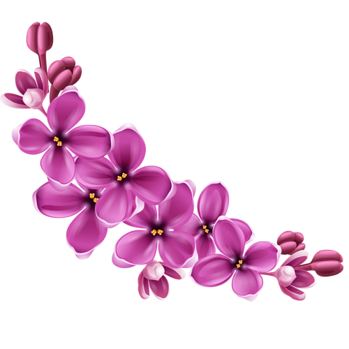 Flowers PNG Image - PurePNG | Free transparent CC0 PNG Image Library