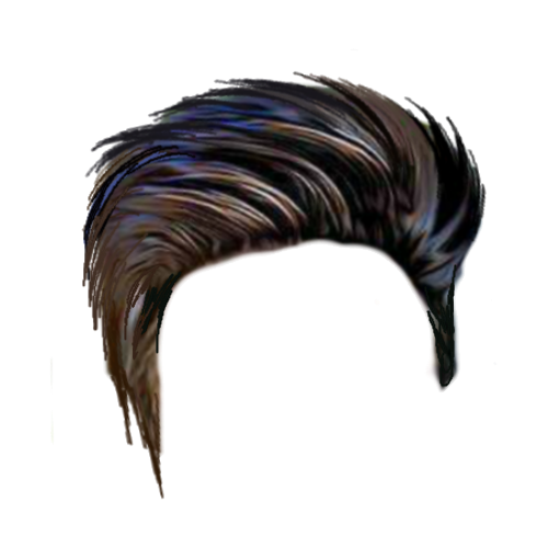 Hair PNG Image
