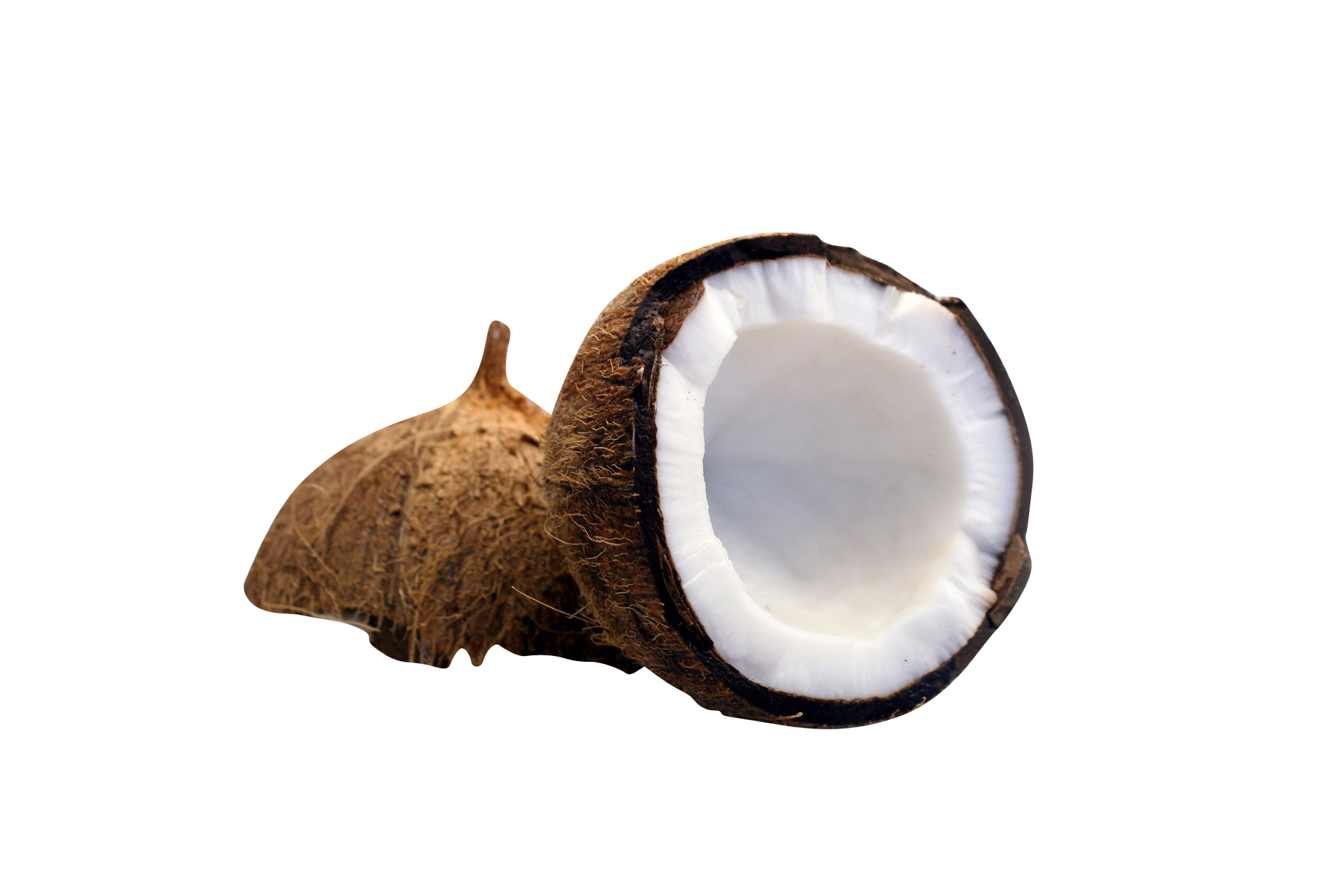 Half Cut Coconut