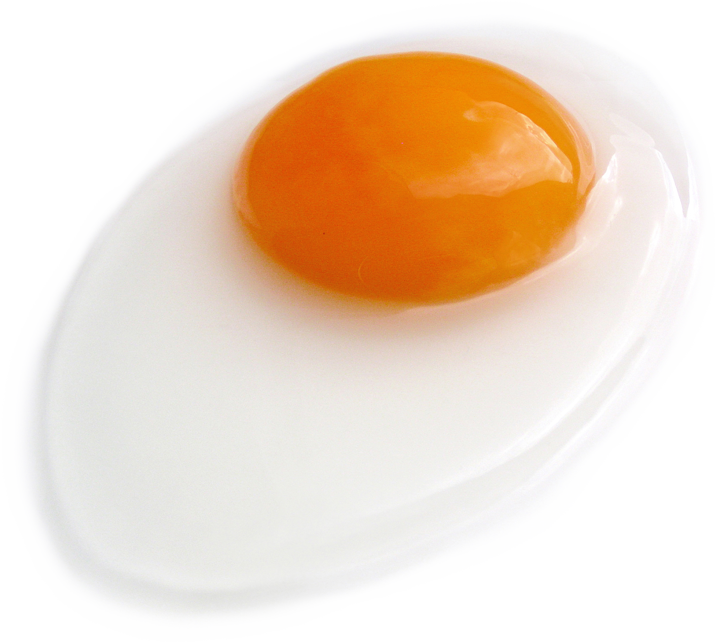 Half Fried Egg PNG Image