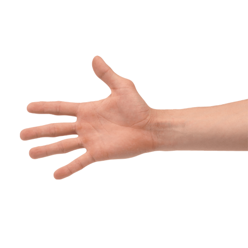 Hand Shake PNG Image