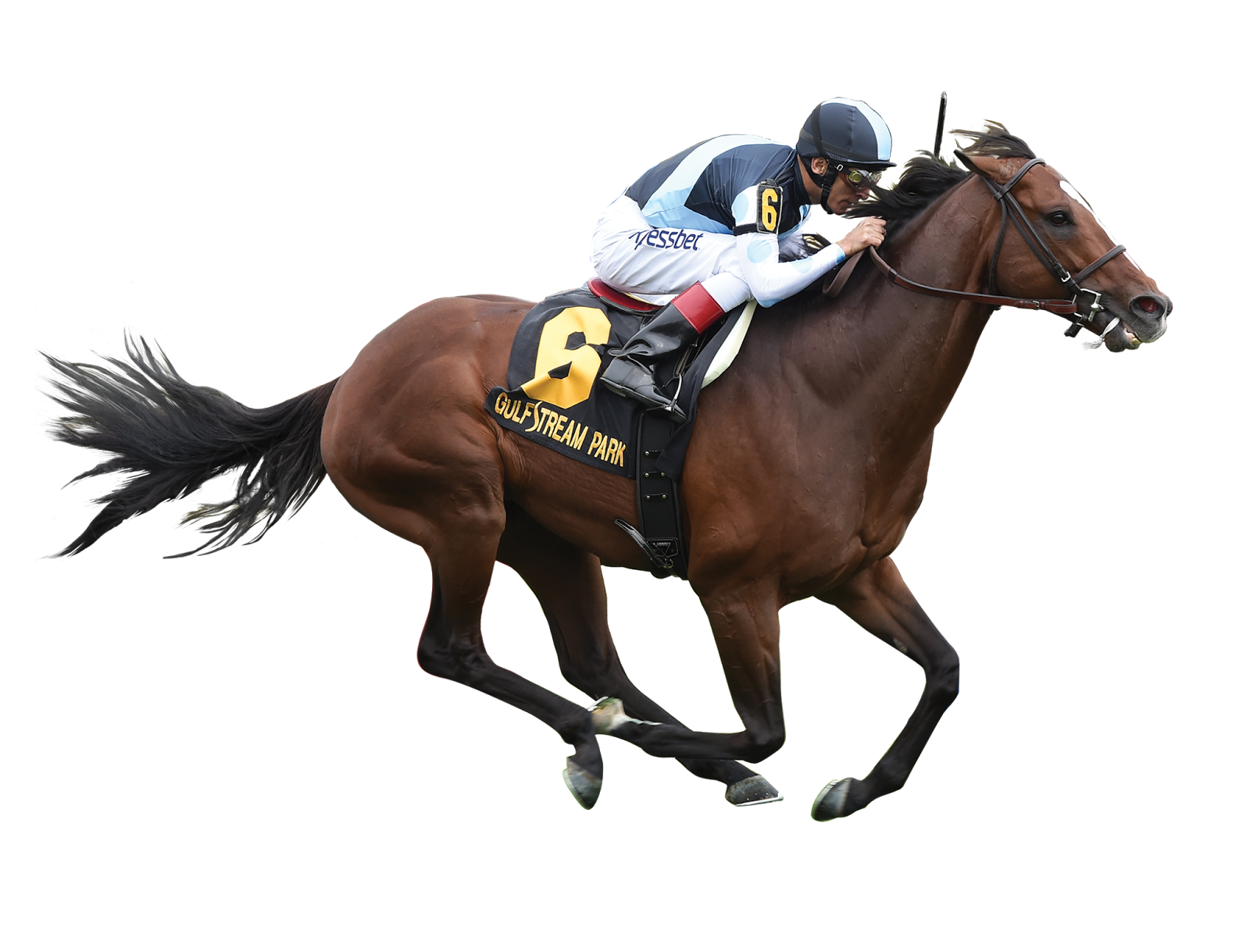 Horse Jockey PNG Image