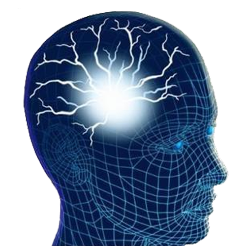 Human Brain PNG Image