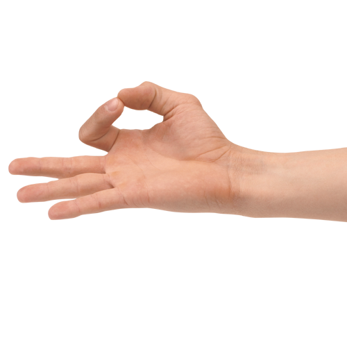Human Hand PNG Image