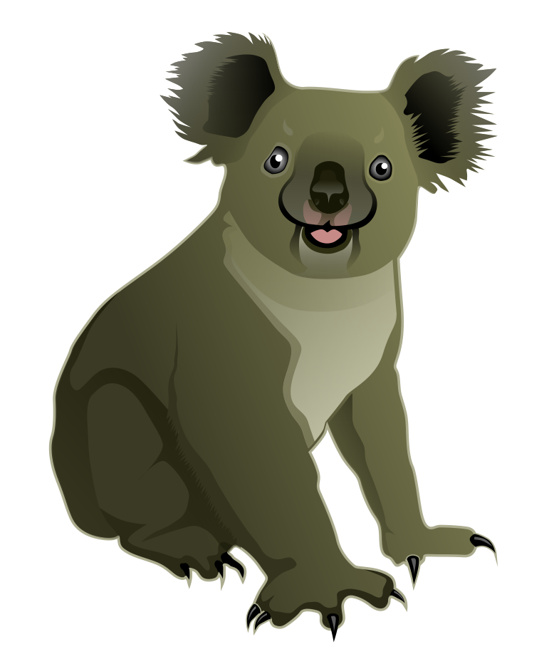 Koala Bear PNG Image