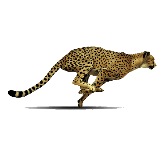 Leaping Leopard PNG Image