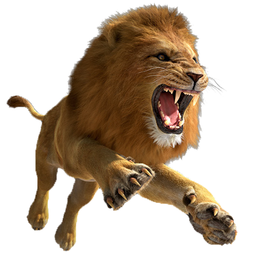 Lion PNG Image